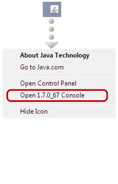 The Java Console appears. 6. Click the Copy button.