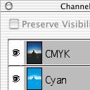 Viewing CMYK Channels First, we double-click on the image to enter paint edit mode.