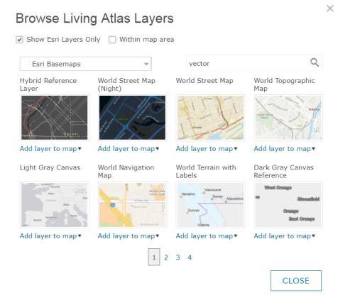 Copying a Vector Tile Layer to your Content for JSON editing - Sign in to ArcGIS.