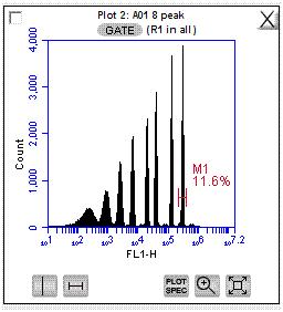 Verify that the next three plots (FL1-H, FL2-H, and FL3-H) are gated on scatter region R1 and that the plots display the message R1 in all next to the GATE button (Figure