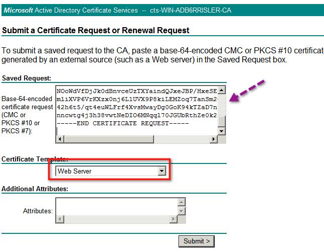 The Certificate Template should be set to Web Server.