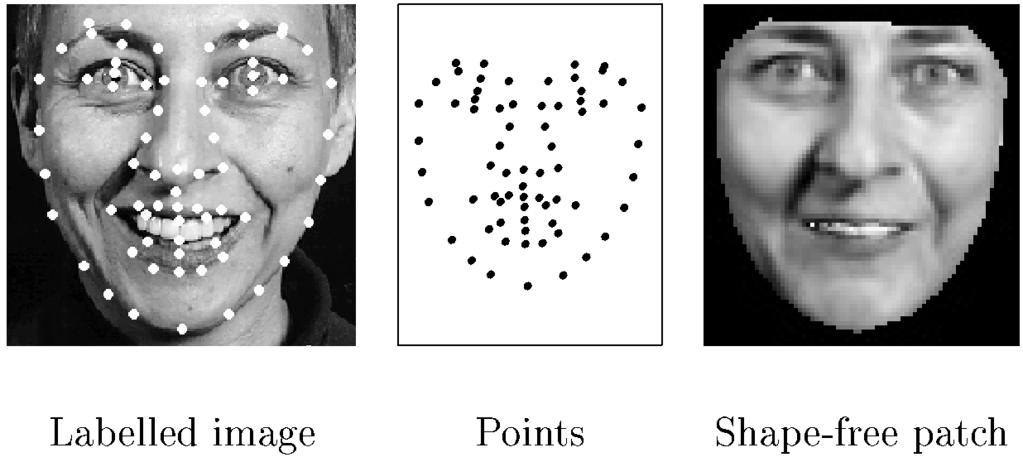 682 IEEE TRANSACTIONS ON PATTERN ANALYSIS AND MACHINE INTELLIGENCE, VOL. 23, NO. 6, JUNE 2001 Fig. 1. A labeled training image gives a shape free patch and a set of points.