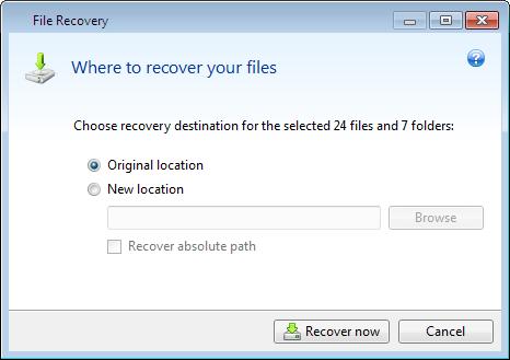 When recovering a specific file version, you will start recovery from the View Versions window. In all cases, starting recovery opens the File Recovery window.