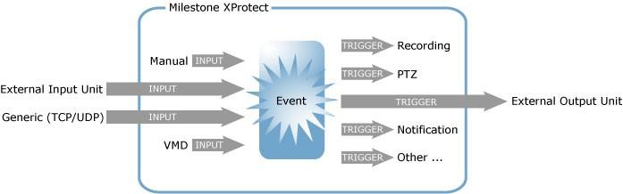 Four Types of Events You specify which types of input should generate which types of events.