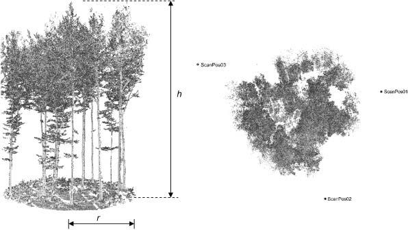 3D Remote Sensing in Forestry 1583 Table 1. Laser scanner instrument specifications.