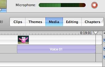 you want to start recording a voiceover. 10. Click the red Record button. 11.
