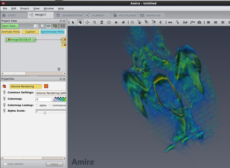 BioPHC WebGPU : Amira 3D visualization Analysis and modeling system Programmable (MATLAB) Comprehensively equipped based package Can be customized by adding functional extensions Limitations: