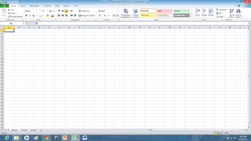 This is considered an Excel worksheet.