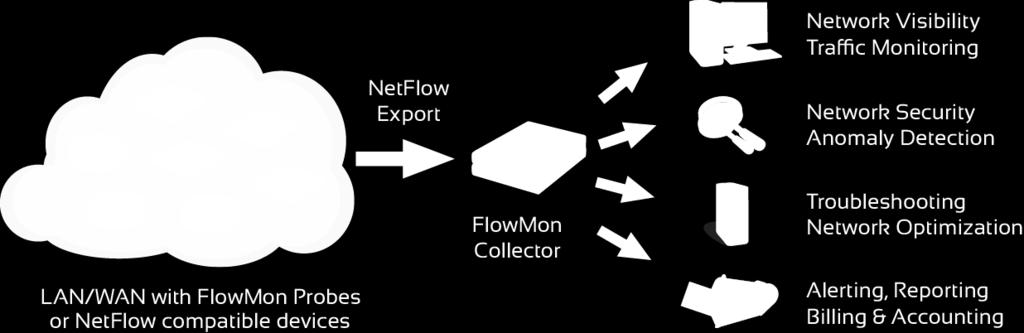visualization and evaluation of network statistics FlowMon plugins