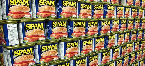 SPAM unwanted or junk e-mail How do they get your e-mail? Companies purchase lists or use software to search for e-mail addresses.