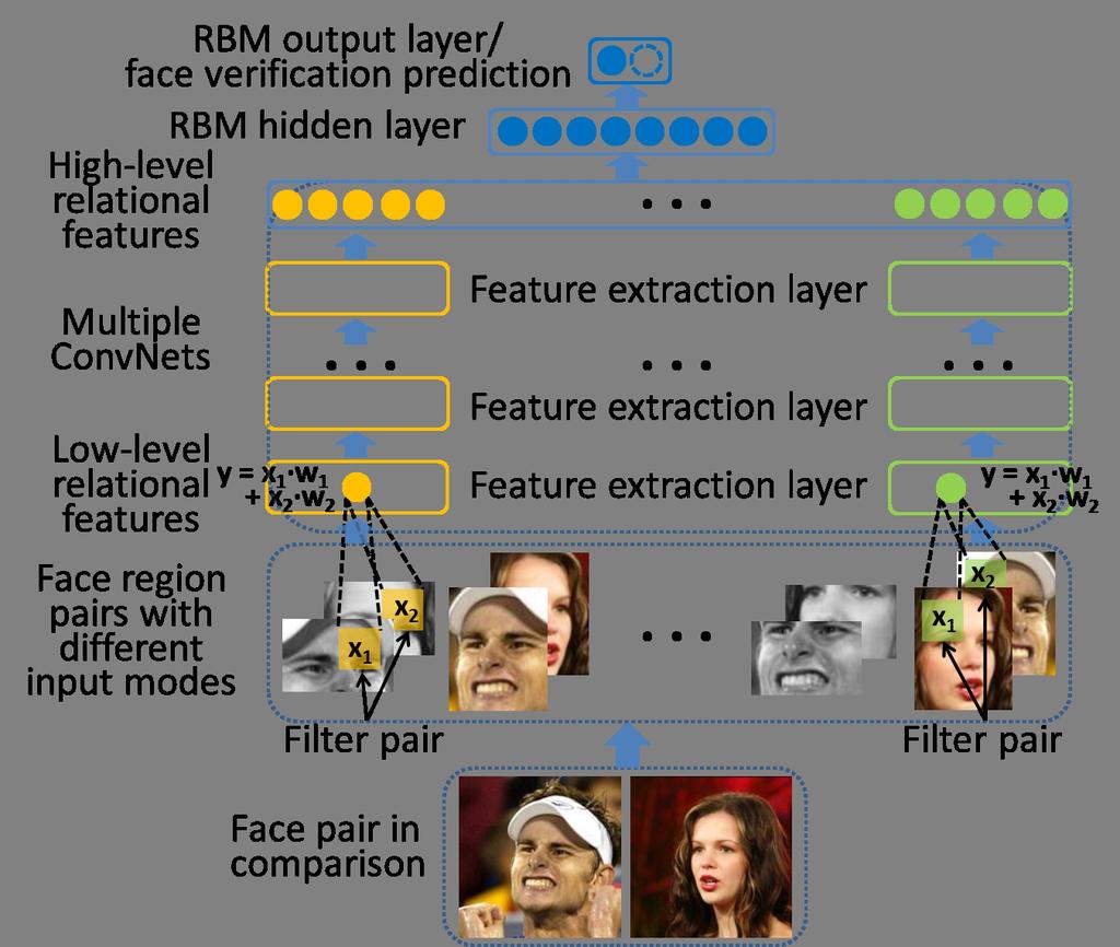 1 Hybrid Deep Learning for Face Verification Yi Sun, Xiaogang Wang, Member, IEEE, and Xiaoou Tang, Fellow, IEEE Abstract This paper proposes a hybrid convolutional network (ConvNet)-Restricted