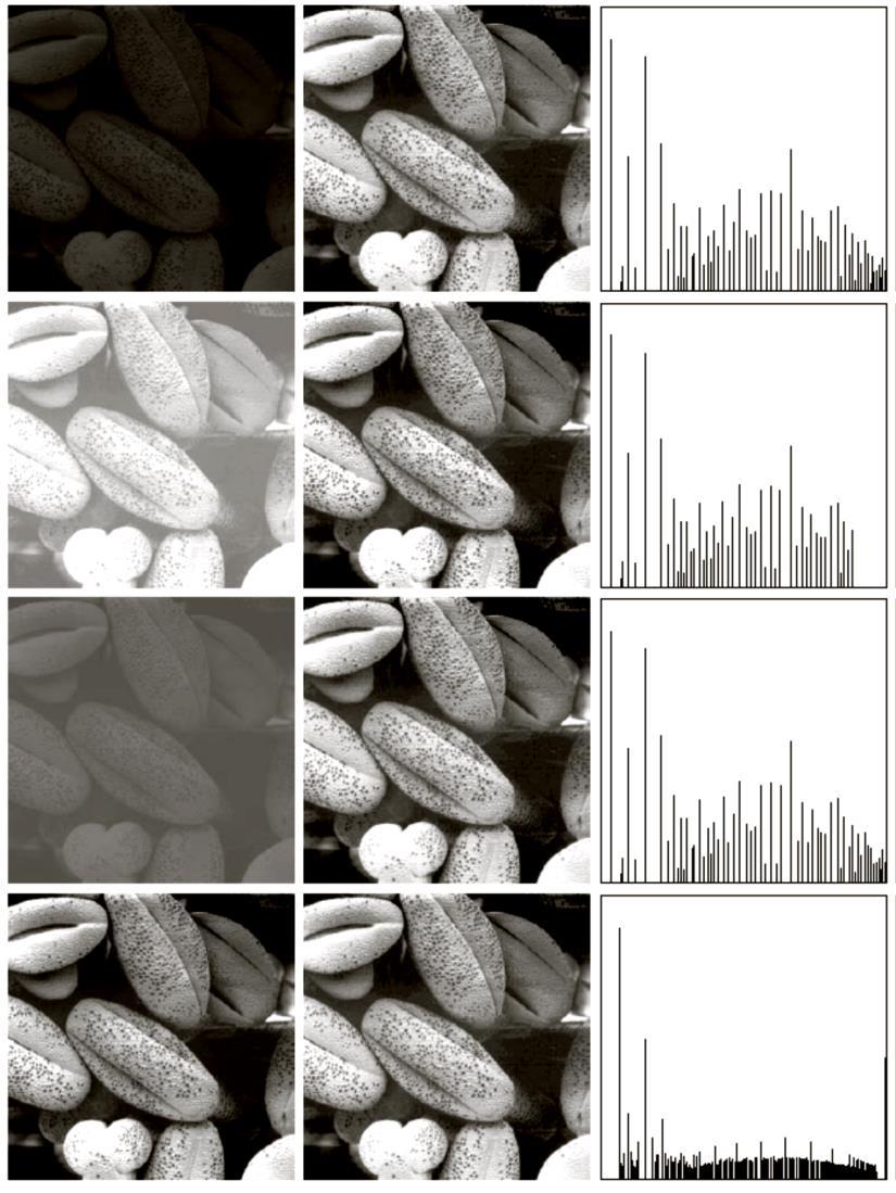 10 Histogram Equalization Example Histograms have wider spread of