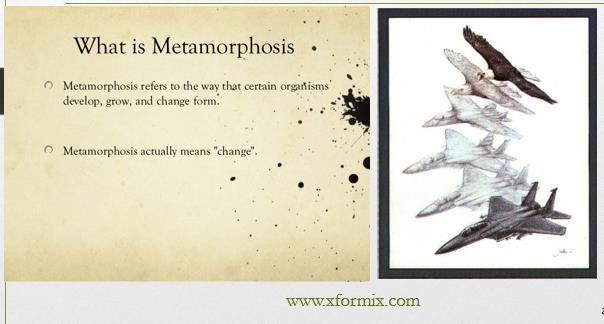 Legacy Metamorphosis By Charles
