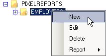 Report Group Folder Functions New The New function can be used to create a new group folder to be displayed in the tree. To create a new group folder: 1.