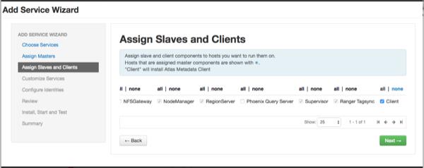 4. The Assign Slaves and Clients page appears with Client (the Atlas Metadata Client) selected.