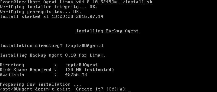 The following screenshot shows files that are extracted to the Linux Agent folder. 3. Run the following command to start the installation:.