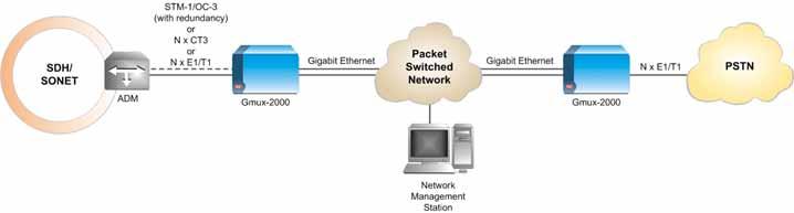 Gmux-2000 Gmux-2000 is a modular pseudowire gateway that extends the TDM traffic (originating from legacy circuit-switched networks) over packet-switched networks (PSNs).
