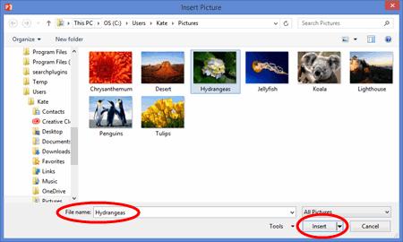 Customizing Presentations 4. Navigate to the image and select Insert to insert it. 5.