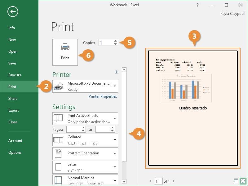 Print Once you've created a nice looking spreadsheet, you may want to print it to give to others. Click the File tab. Click Print.