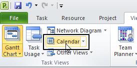 The Calendar View uses a monthly format to show scheduled tasks.