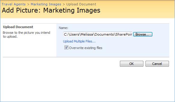 Working with Libraries Working with Images Images are important additions to items and lists in SharePoint.