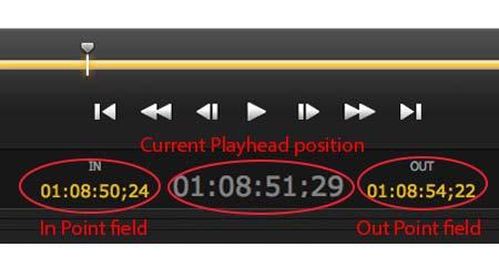 Then do the same for the Set OUT. To view your clip in continuous play mode, you can click the Loop button shown below. Figure 15.