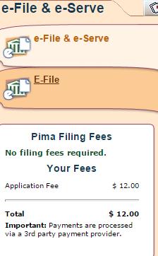 This field lists any Filing or Application fees that are due