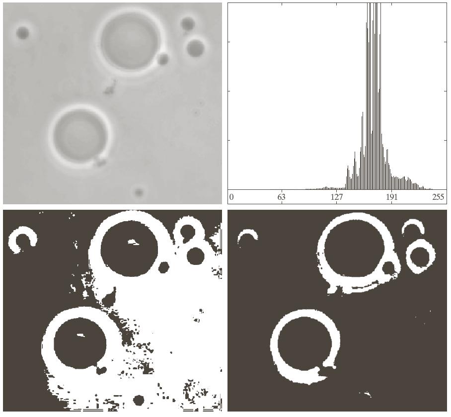 Otsu's Thresholding - Example original image histogram
