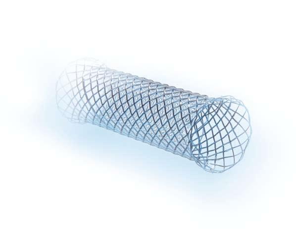 Tracheal and bronchial stents. Simply magnificent in terms of quality and variety.