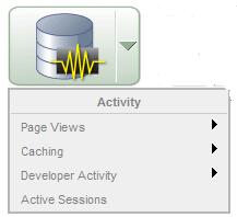 Know Your Tools APEX-Supplied Activity Reports Most are Informational Page Views, Caching,