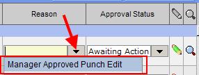 4. In the Reason column, click the drop down arrow and then click Manager Approved Punch Edit. 5.