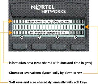 display" (page 10), describes the IP Phone