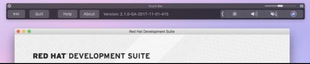 Red Hat Development Suite 2.1 Installation Guide 1.