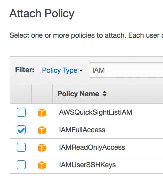 9. In the Filter: field, make sure Policy Type is selected, then type IAM in the