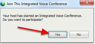 How Do I Connect to the Conference Audio?