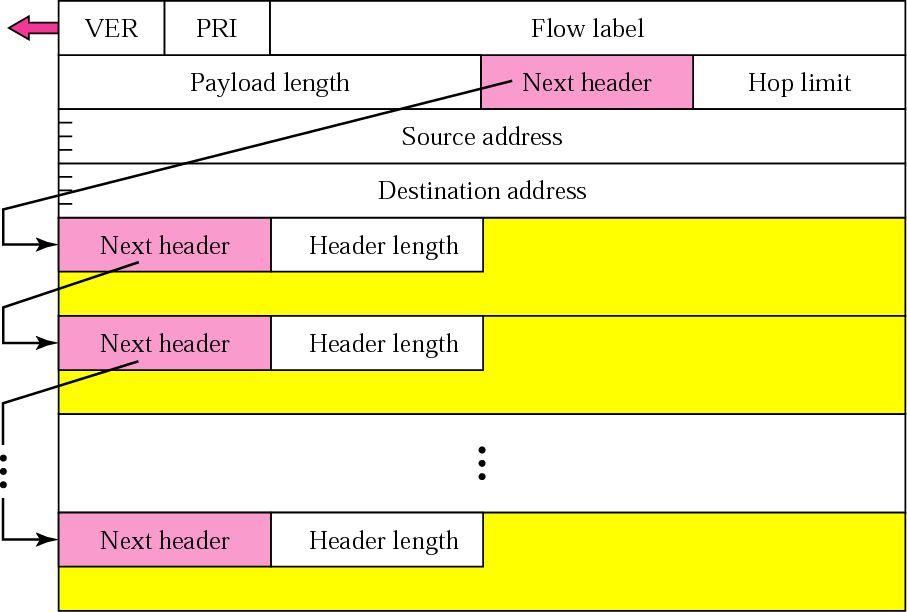 Extension Header Format