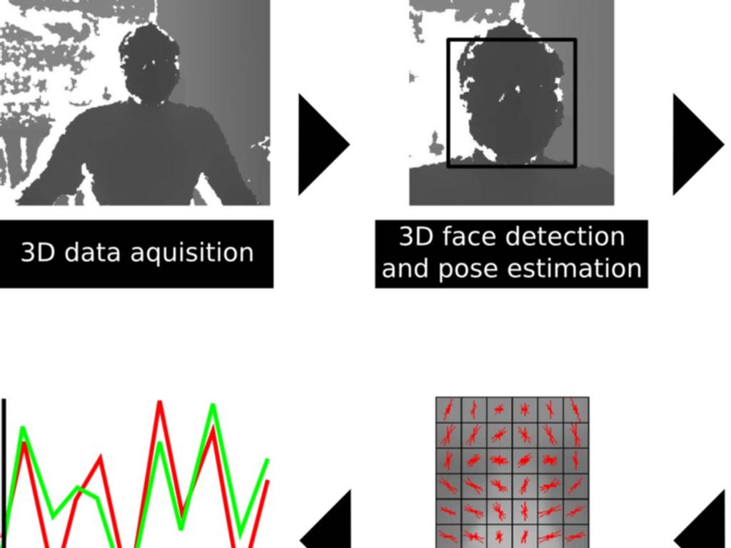 regions. For each frame, only the region least affected by noise is used for matching, which is automatically defined based on facial pose information.