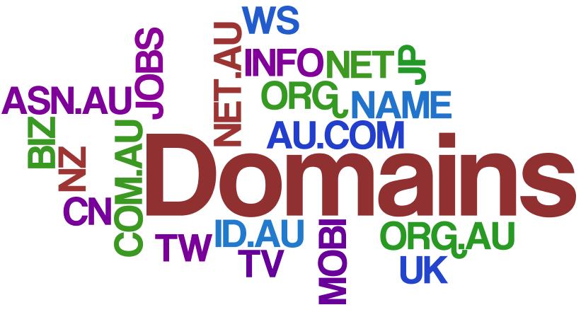 Choosing Your Domain Name Once you ve nailed down your niche market and have chosen 3-4 sub niches that you will use to form content based categories on your website, it s time to move on to finding