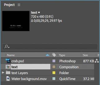 3 Double-click an empty area in the Project panel to open the Import File dialog box again. Select the text.