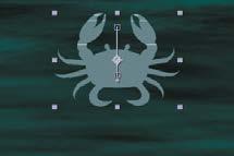 The crab moves up to fill the composition. 9 Click the stopwatch icon next to Position to create an initial keyframe.