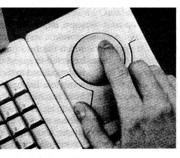 Input Devices Trackball Like an upside-down mouse Advantages: Direct relationship between hand & cursor movement on all 2 issues of direction & speed Allow diagonal & continuous movement