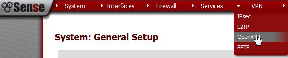 some certificates that the recently created CA will sign for us. Since these are self-signed certificates most browsers will give you a warning if you try accessing a web site that is using them, e.g. the pfsense web GUI if you are creating a certificate to secure it.