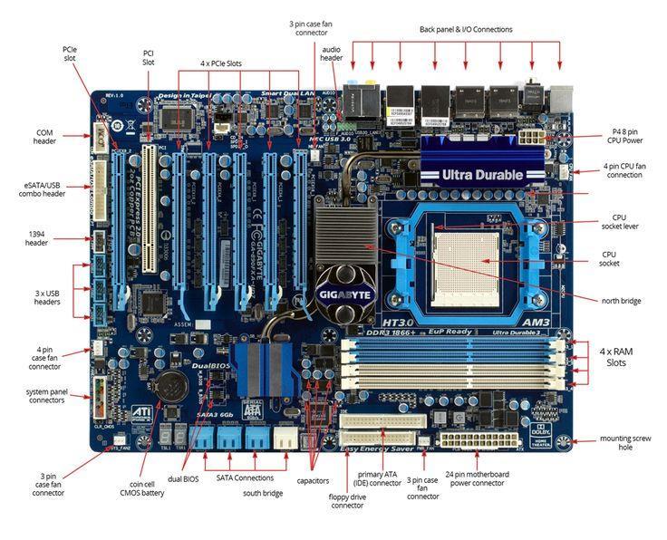 The Motherboard: