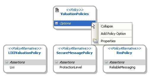 policy assertion provide sufficient information to generate WS-Policy documents. 7.