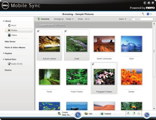 In the photo browsing screen you can browse the items of your Photos library group.