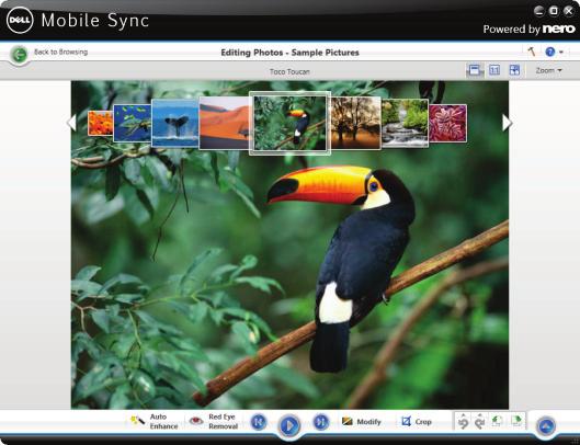 Editing Photos screen Below the upper task bar of the main window, adapted setting options are additionally displayed.