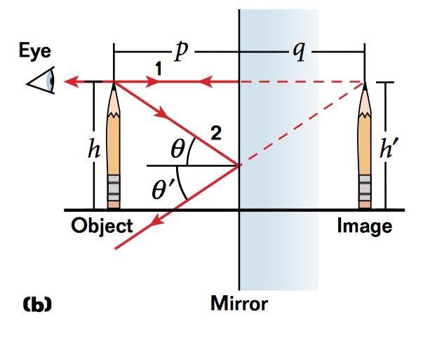 Ray Diagrams To pinpoint the location of the pencil tip s image, draw two rays on your diagram. 1. Draw the first ray from the pencil tip perpendicular to the mirror s surface.