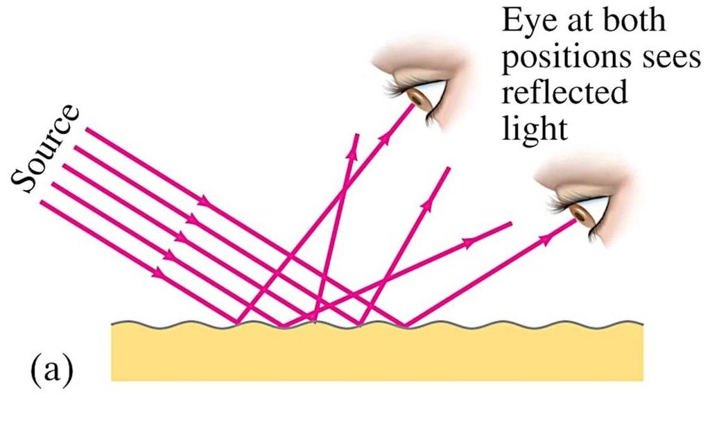 Diffuse Reflection Light that is reflected from a rough, textured surface, such as paper, cloth, is reflected in many different