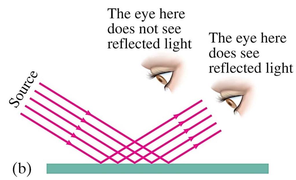 Specular Reflection Light reflected from smooth, shiny surfaces, such as a mirror or water in a pond, is reflected in one direction only, as shown in