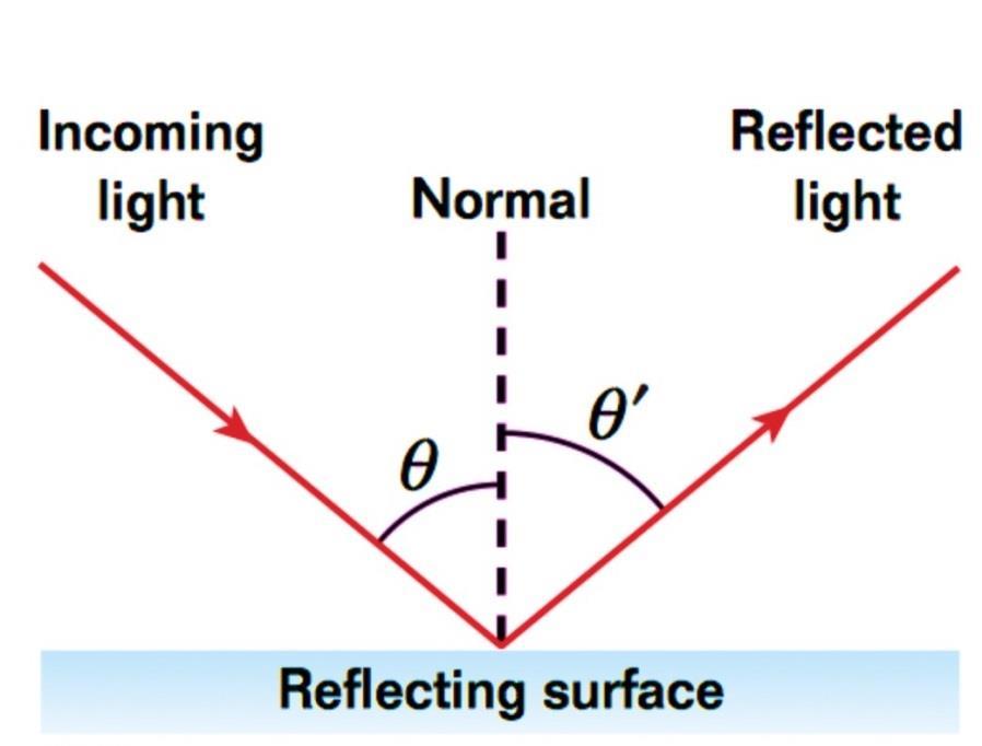 The Law of Reflection If a straight line is drawn perpendicular to the reflecting surface at the point where the incoming ray strikes the surface, the angle of incidence and the angle of reflection